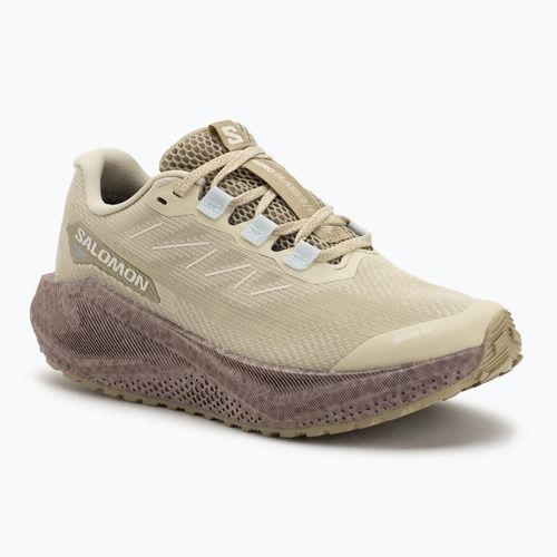 Încălțăminte de alergare pentru femei Salomon Aero Blaze 3 Gravel GTX green haze/iron/ice flow