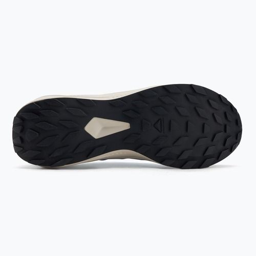 Încălțăminte de alergare pentru bărbați Salomon Alphaglide GTX blue night/lunar rock/french blue