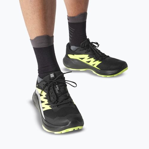 Încălțăminte de alergare pentru bărbați  Salomon Alphaglide GTX black/alloy/sharp green