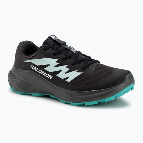 Încălțăminte de alergare pentru femei Salomon Alphaglide GTX hantom/urban chic/waterfall