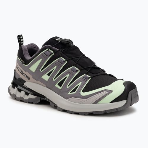Încălțăminte de alergare pentru femei Salomon XA PRO 3D V9 GTX black/patina green/gray violet