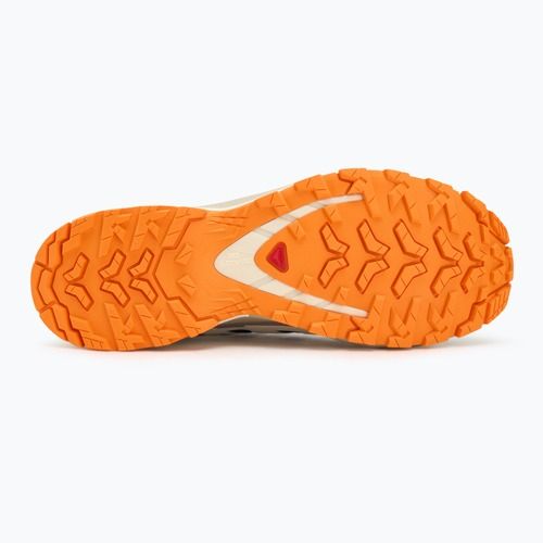 Încălțăminte de alergare pentru bărbați Salomon XA PRO 3D V9 GTX black/vanilla ice/turmeric