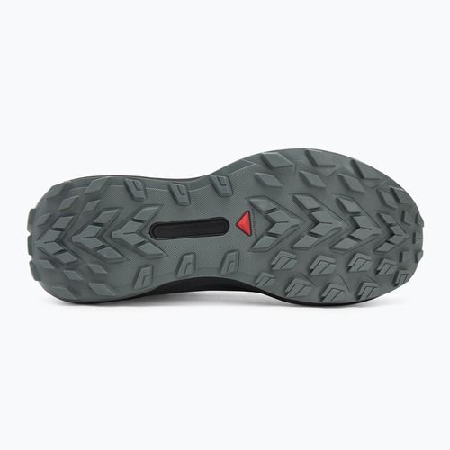 Încălțăminte de alergare pentru bărbați Salomon Genesis GTX black/sedona sage/incaberry