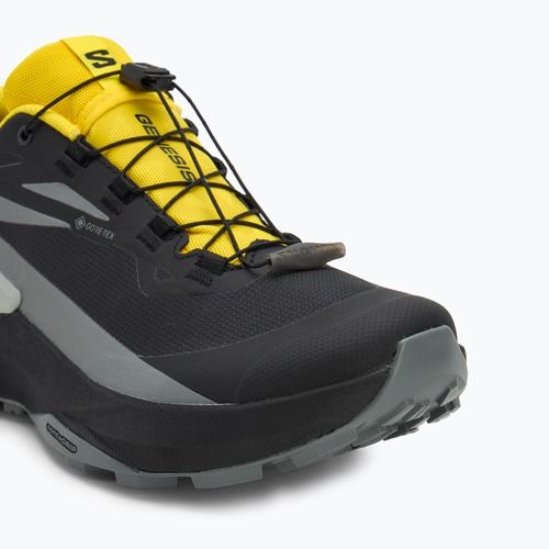 Încălțăminte de alergare pentru bărbați Salomon Genesis GTX black/sedona sage/incaberry