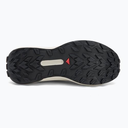 Încălțăminte de alergare pentru bărbați Salomon Genesis GTX black/lunar rock/french blue