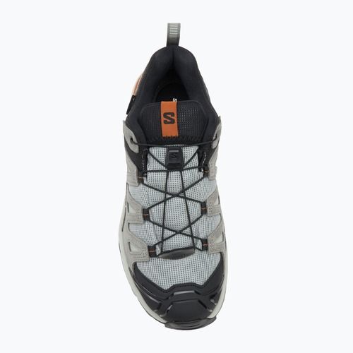 Încălțăminte de trekking pentru bărbați Salomon X Ultra 360 Leather GTX wrought iron / sedona sage / sierra