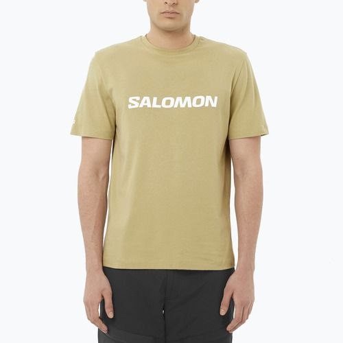 Tricou pentru bărbați Salomon Logo gray green