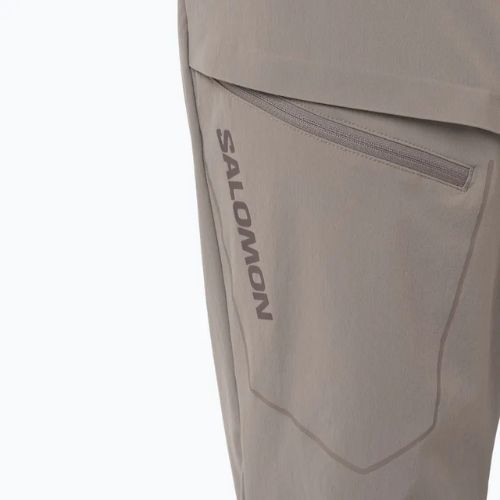 Pantaloni de trekking pentru bărbați Salomon Wayfarer iron
