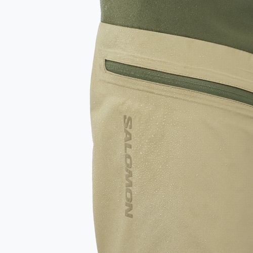 Pantaloni de trekking pentru bărbați Salomon Outerpath Utility grape leaf