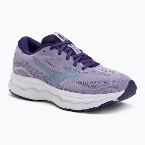 Încălțăminte de alergare pentru femei Mizuno Wave Serene thistle/ceramic/violet indigo