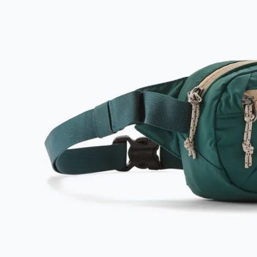 Borsetă Patagonia Terravia Mini Hip cascade green