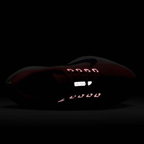 Încălțăminte de alergare pentru femei Nike Pegasus Plus bright crimson / deep royal blue / silt red