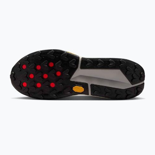 Încălțăminte de alergare pentru bărbați Nike Zegama 2 fir/desert ochre/college grey/sail