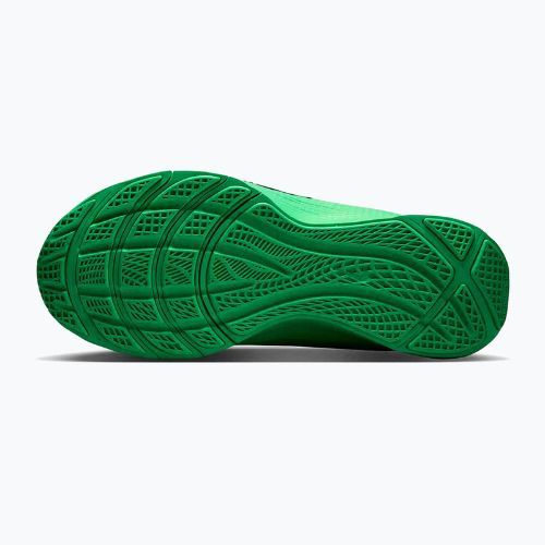 Încălțăminte de antrenament pentru bărbați Nike LeBron TR 1 green strike/fir/green shock