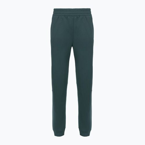 Pantaloni pentru femei The North Face Mountain Athletics Fleece deep cypress/space