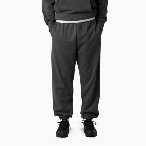 Pantaloni pentru bărbați The North Face Expedition Celebration Relaxed Jogger Reg anthracite grey