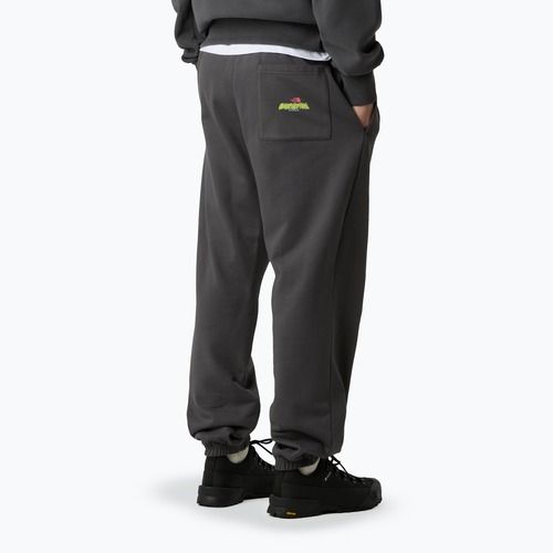 Pantaloni pentru bărbați The North Face Expedition Celebration Relaxed Jogger Reg anthracite grey