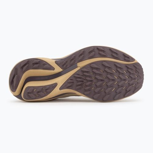 Încălțăminte de alergare pentru femei Mizuno Wave Rider TT 3 curds&whey/summer sand/moonscape