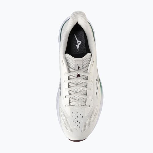Încălțăminte de alergare pentru bărbați Mizuno Wave Skyrise 7 snow white/north sea/summer sand