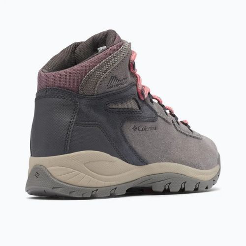 Încălțăminte de trekking pentru femei Columbia Newton Ridge Plus Wp Amped stratus/canyon rose