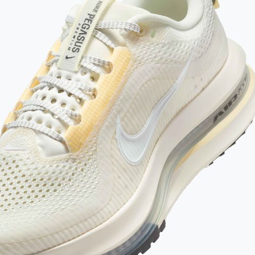 Încălțăminte de alergare pentru femei Nike Pegasus Premium sail/alabaster/anthracite/white