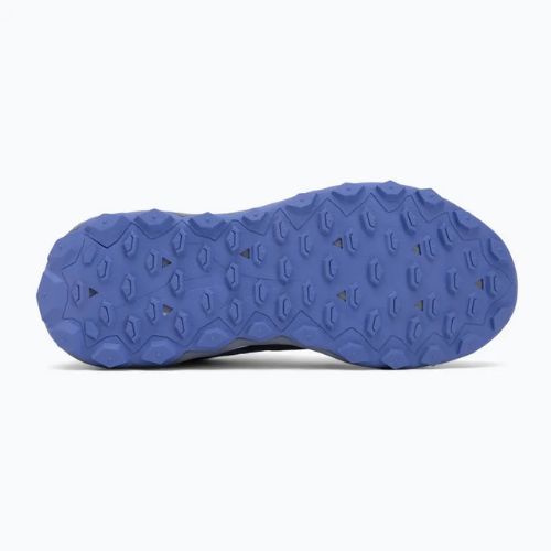 Încălțăminte de alergare pentru femei Mizuno Wave Ibuki 5 GTX Odyssey grey/calypso coral/iris bloom