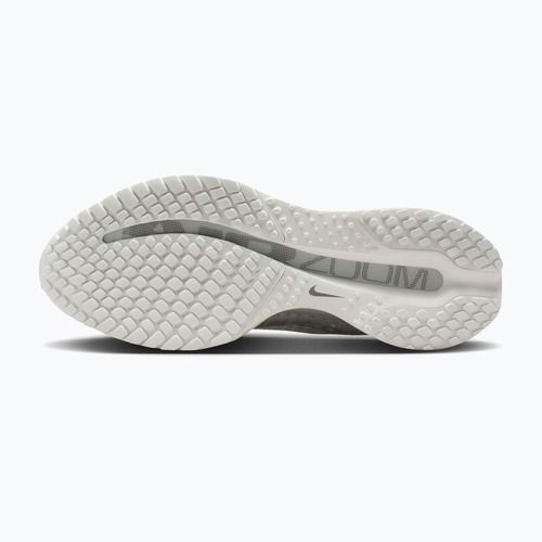 Încălțăminte de alergare pentru femei Nike Pegasus Premium ESS summit white/pure platinum/white