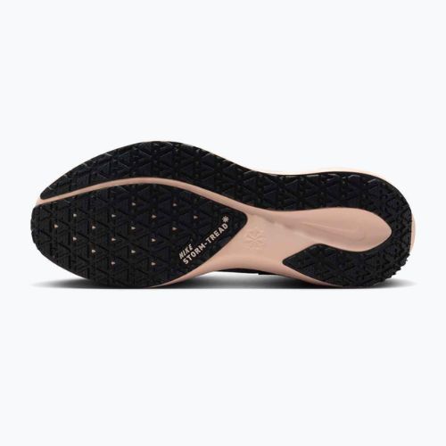 Încălțăminte de alergare pentru femei Nike Pegasus 41 GORE-TEX platinum violet/crimson tint/black