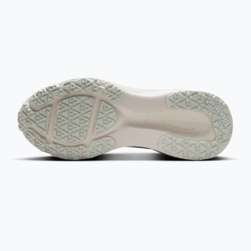 Încălțăminte de alergare pentru bărbați Nike Vomero 18 GORE-TEX pure platinum/metallic silver
