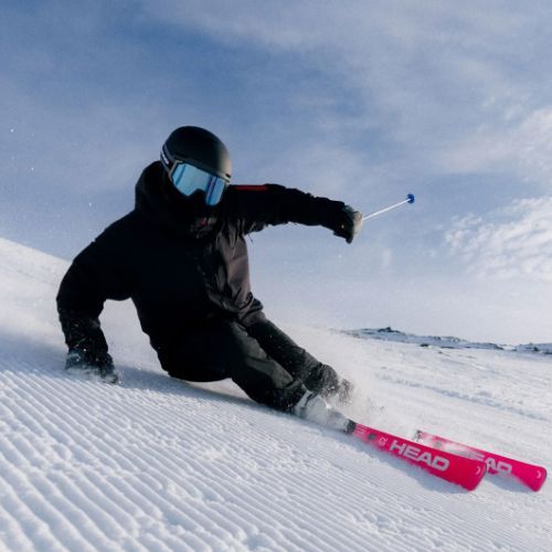 Schiuri de coborâre HEAD WC Rebels e-Race Pro RP WCR 14 + legături Freeflex 14 GW 75 Years pink