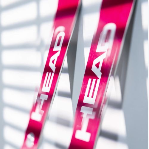 Schiuri de coborâre HEAD WC Rebels e-Race Pro RP WCR 14 + legături Freeflex 14 GW 75 Years pink