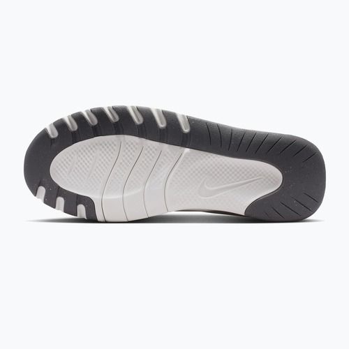 Încălțăminte de antrenament pentru femei Nike Flex Train sail/chalk/pencil point/white