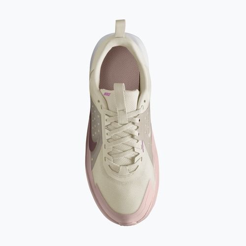 Încălțăminte pentru copii Nike Sonic Fly phantom/cream ii/silt red/tattoo