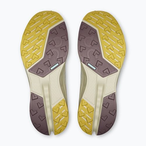 Încălțăminte de alergare pentru femei On Cloudsurfer Trail 2 Waterproof ghost/chalk