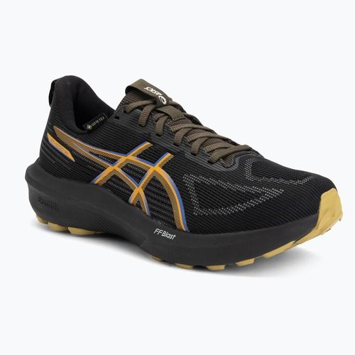 Încălțăminte de alergare pentru bărbați ASICS GT-1000 14 GTX black/dark cobalt