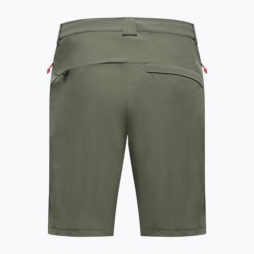 Pantaloni scurți de trekking pentru bărbați Salewa Puez Talveno DST faded green