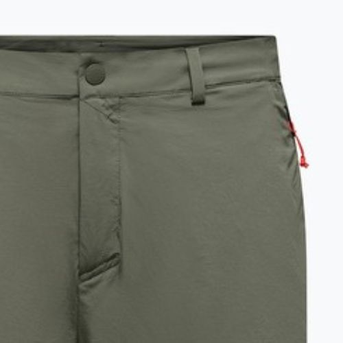 Pantaloni scurți de trekking pentru bărbați Salewa Puez Talveno DST faded green