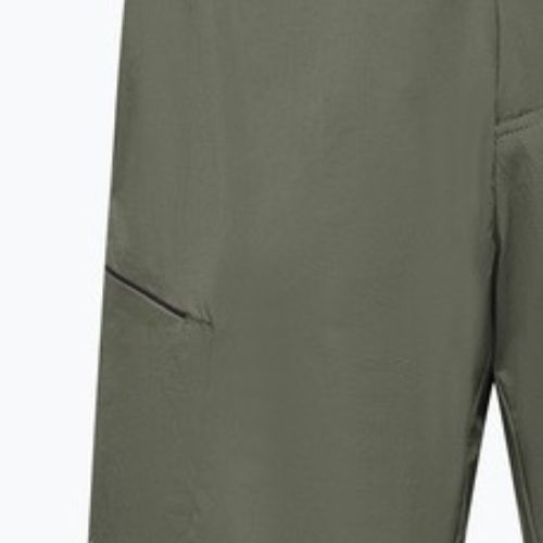 Pantaloni scurți de trekking pentru bărbați Salewa Pedroc 4 DST Cargo faded green
