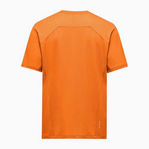 Tricou pentru bărbați Salewa Pedroc Dry Light turmeric