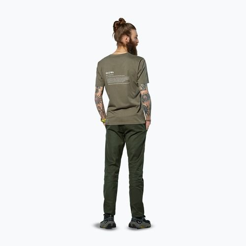 Tricou pentru bărbați Salewa Eagle Vocab faded green