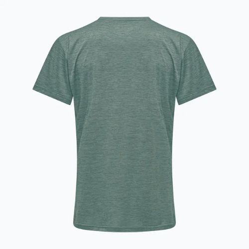 Tricou de trekking pentru bărbați Salewa Puez Melange Dry willow melange