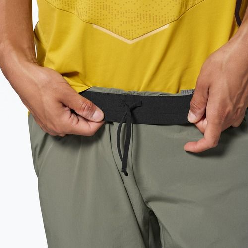 Pantaloni de trekking pentru bărbați Salewa Pedroc 3 DST Light faded green