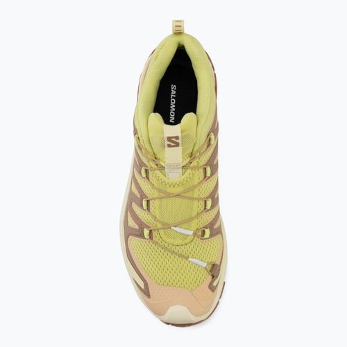 Încălțăminte de alergare pentru femei Salomon XA Pro 3D V9 endive/burro/almond cream