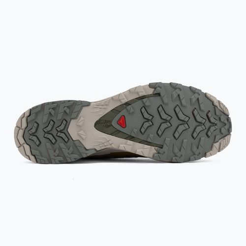 Încălțăminte de alergare pentru bărbați Salomon XA Pro 3D V9 sedona sage/plantation/paloma