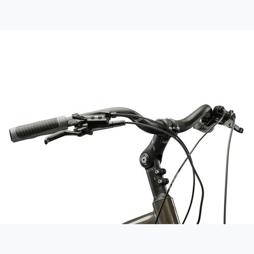 Bicicletă de trekking pentru bărbați KROSS Trans 4.0 brown/silver/gloss