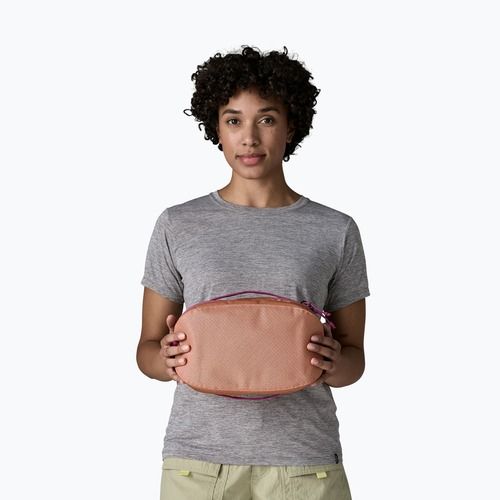 Organizator de călătorie Patagonia Black Hole Cube 6 l peach sherbet
