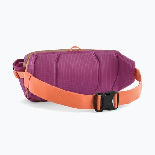 Borsetă Patagonia Black Hole Waist Pack 5 l peach sherbet