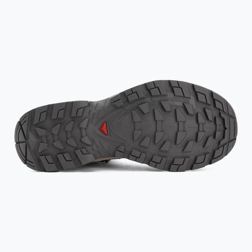 Încălțăminte de trekking pentru femei Salomon Quest Echo GTX gull/paloma/bog
