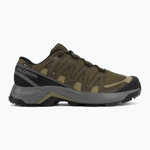 Încălțăminte de trekking pentru bărbați Salomon X-Adventure Recon Waterproof olvnig/martini