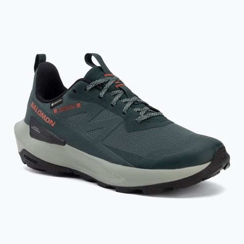 Încălțăminte de drumeție pentru bărbați Salomon Elixir Activ GTX scarab/green gable